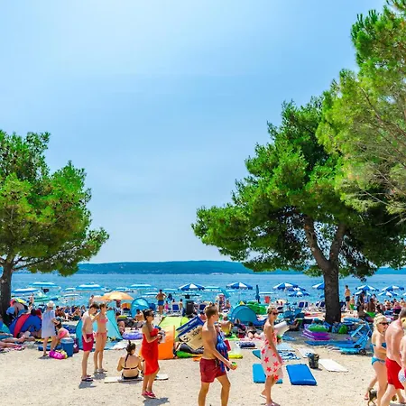 Petak * 德拉马利